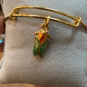 Alex and Ani beetle bracelet